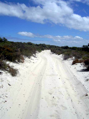 Track Fanny Cove